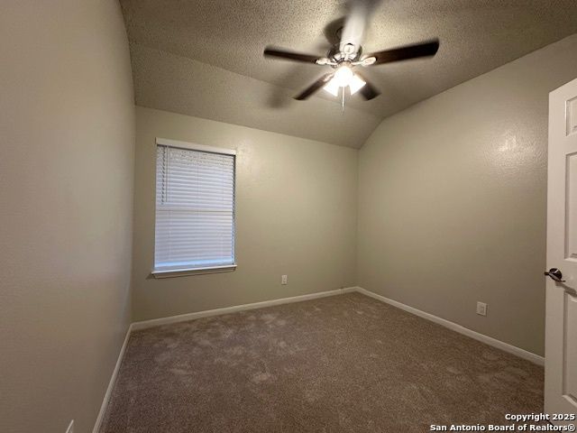 1106 Saxonhill, San Antonio, TX 78253