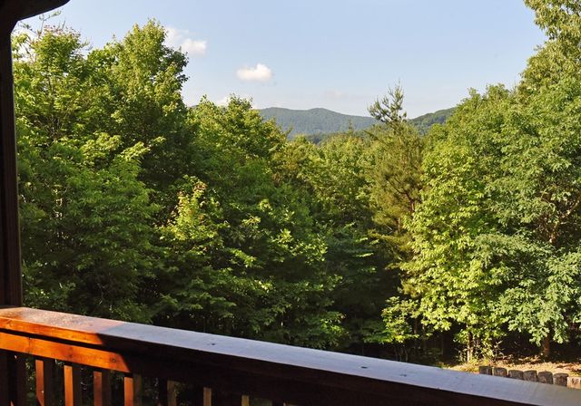 93 Deer Hunter Trail, Blue Ridge, GA 30513