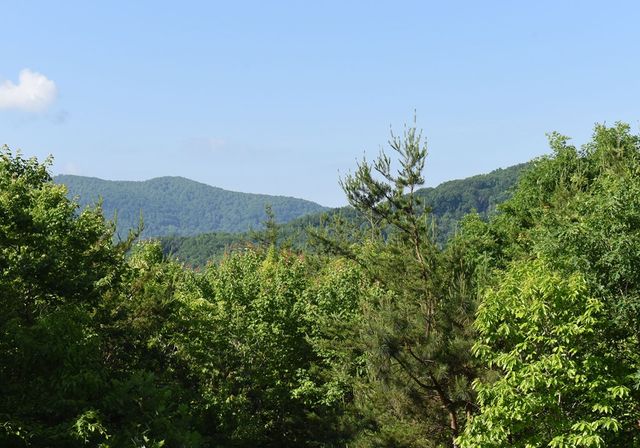 93 Deer Hunter Trail, Blue Ridge, GA 30513