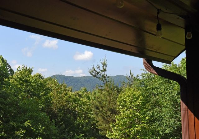 93 Deer Hunter Trail, Blue Ridge, GA 30513