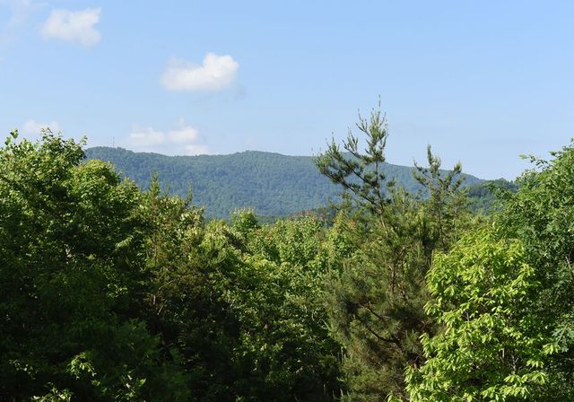 93 Deer Hunter Trail, Blue Ridge, GA 30513