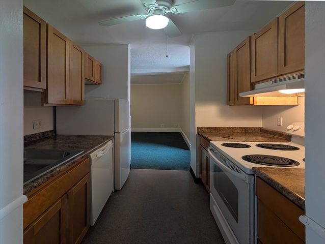 140 Chestnut St 207, Springfield, MA 01103
