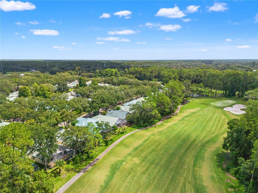 Image 2 of property listing at 6005 FAIRWAY PALMS COURT, Tampa, FL 33647