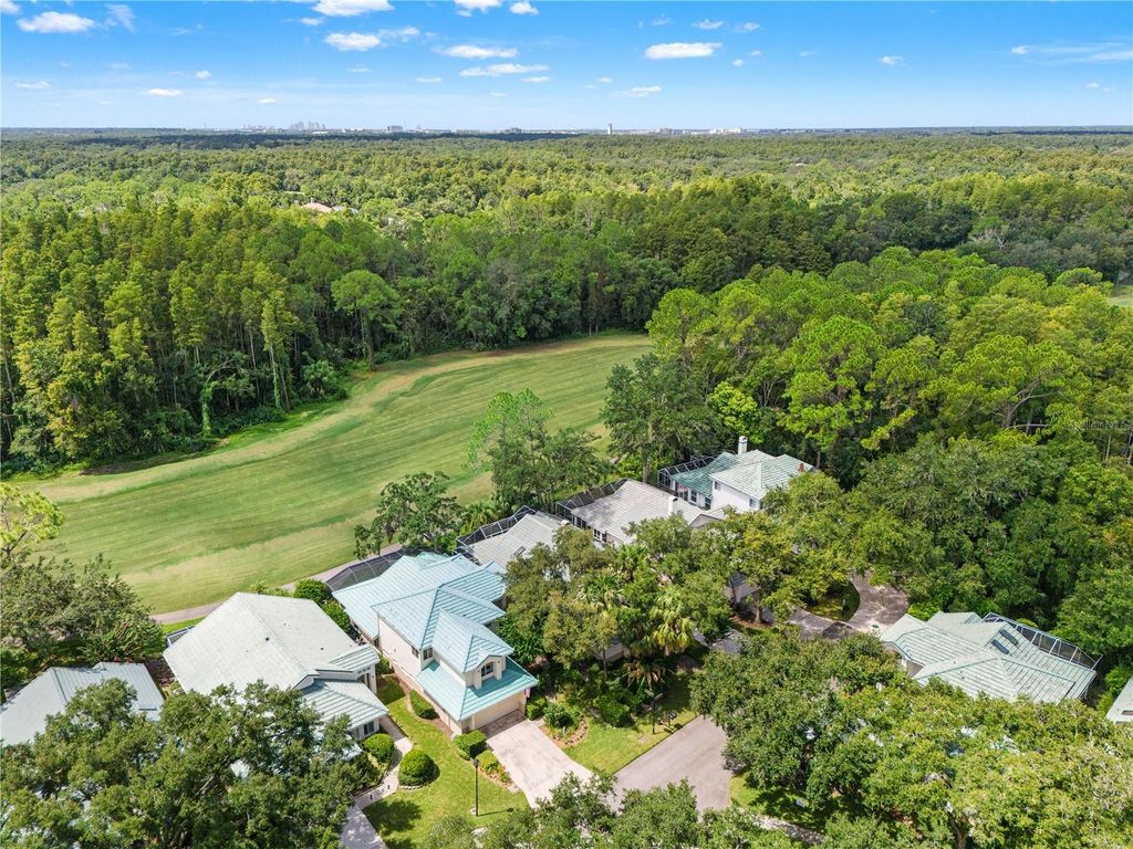 Image 56 of property listing at 6005 FAIRWAY PALMS COURT, Tampa, FL 33647