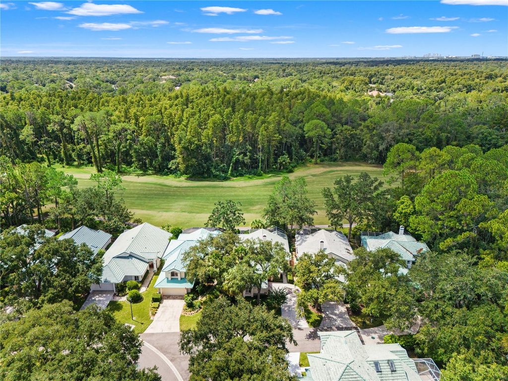 Image 57 of property listing at 6005 FAIRWAY PALMS COURT, Tampa, FL 33647