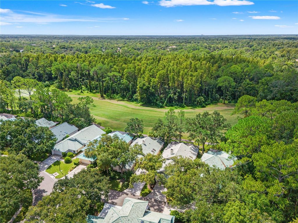 Image 58 of property listing at 6005 FAIRWAY PALMS COURT, Tampa, FL 33647
