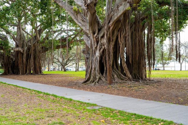 100 4TH AVENUE S 207, St Petersburg, FL 33701