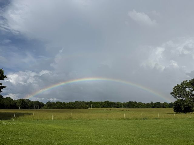 7490 E Farm Road 156, Rogersville, MO 65742