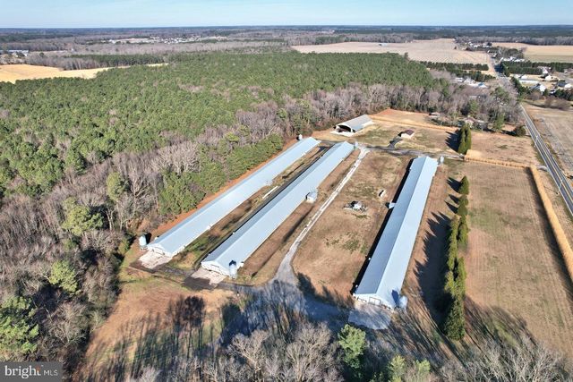 26830 N HOLLYVILLE RD, Millsboro, DE 19966