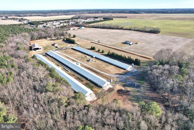 26830 N HOLLYVILLE RD, Millsboro, DE 19966