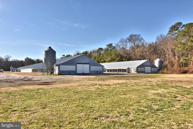 26830 N HOLLYVILLE RD, Millsboro, DE 19966