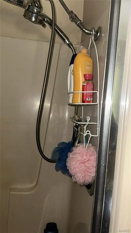 10610 Stroup Road, Festus, MO 63028