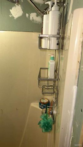 10610 Stroup Road, Festus, MO 63028