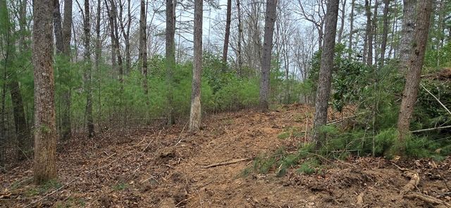 Lot 3-4 Scouts Overlook Lane, Morganton, GA 30560