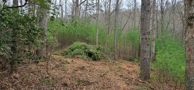 Lot 3-4 Scouts Overlook Lane, Morganton, GA 30560
