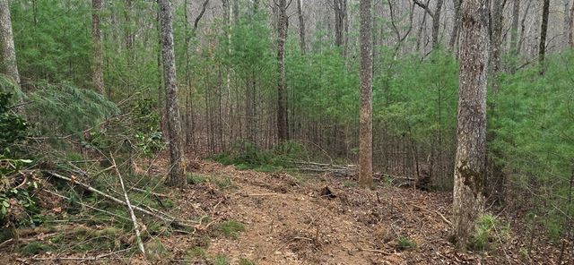 Lot 3-4 Scouts Overlook Lane, Morganton, GA 30560