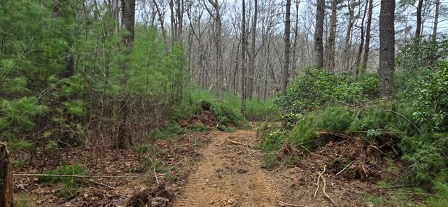 Lot 3-4 Scouts Overlook Lane, Morganton, GA 30560