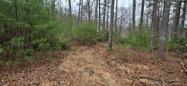 Lot 3-4 Scouts Overlook Lane, Morganton, GA 30560