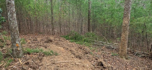 Lot 3-4 Scouts Overlook Lane, Morganton, GA 30560