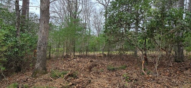 Lot 3-4 Scouts Overlook Lane, Morganton, GA 30560