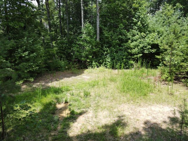 Lot 3-4 Scouts Overlook Lane, Morganton, GA 30560