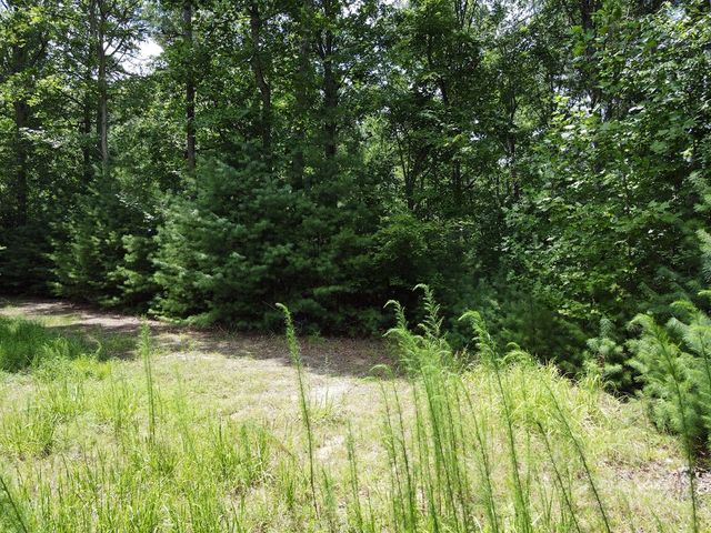 Lot 3-4 Scouts Overlook Lane, Morganton, GA 30560