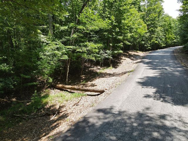 Lot 3-4 Scouts Overlook Lane, Morganton, GA 30560