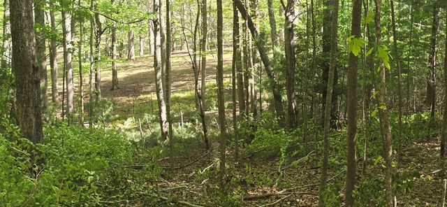 Lot 3-4 Scouts Overlook Lane, Morganton, GA 30560