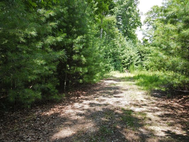 Lot 3-4 Scouts Overlook Lane, Morganton, GA 30560