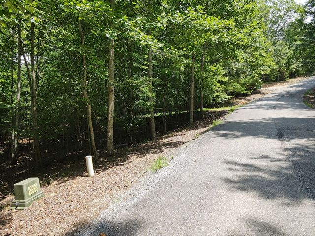 Lot 3-4 Scouts Overlook Lane, Morganton, GA 30560