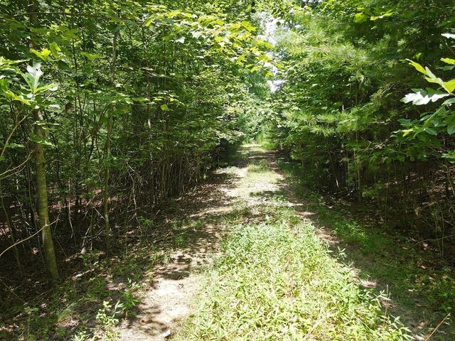 Lot 3-4 Scouts Overlook Lane, Morganton, GA 30560