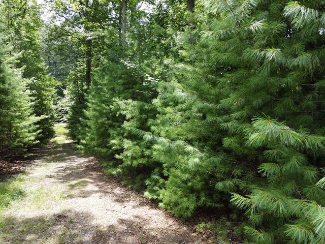 Lot 3-4 Scouts Overlook Lane, Morganton, GA 30560