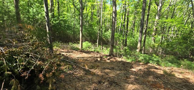 Lot 3-4 Scouts Overlook Lane, Morganton, GA 30560