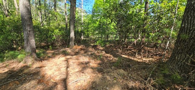 Lot 3-4 Scouts Overlook Lane, Morganton, GA 30560