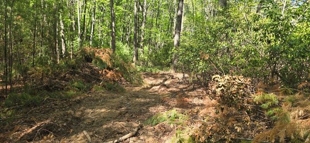 Lot 3-4 Scouts Overlook Lane, Morganton, GA 30560