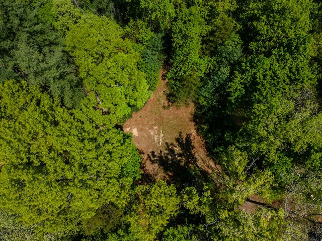 Lot 3-4 Scouts Overlook Lane, Morganton, GA 30560