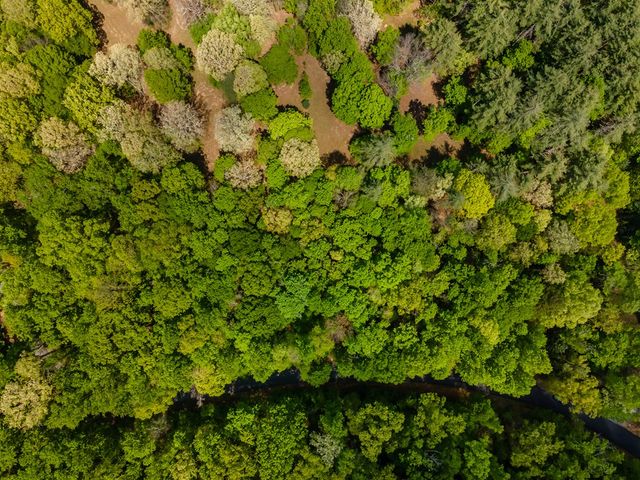 Lot 3-4 Scouts Overlook Lane, Morganton, GA 30560
