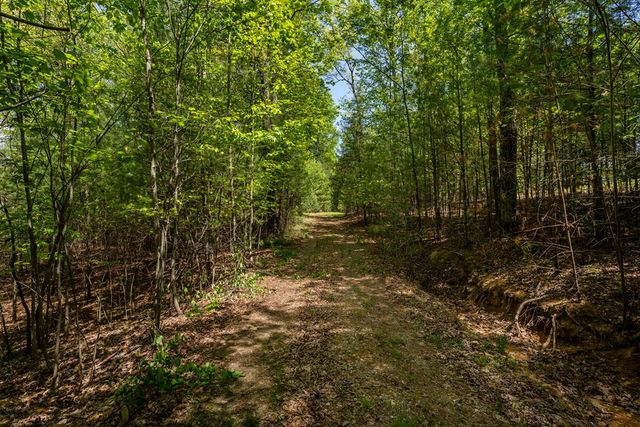 Lot 3-4 Scouts Overlook Lane, Morganton, GA 30560