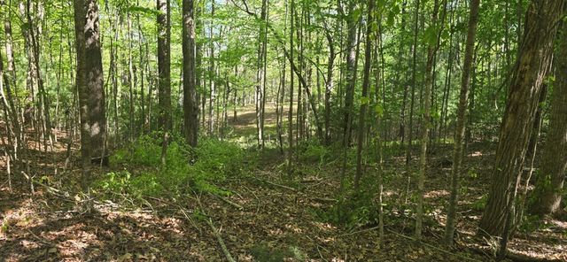 Lot 3-4 Scouts Overlook Lane, Morganton, GA 30560