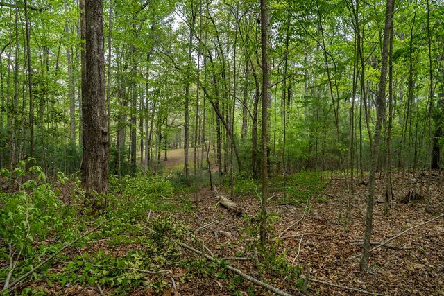 Lot 3-4 Scouts Overlook Lane, Morganton, GA 30560