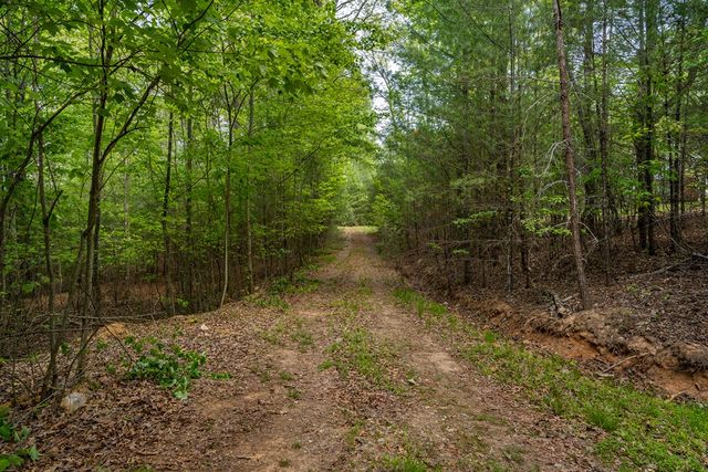 Lot 3-4 Scouts Overlook Lane, Morganton, GA 30560