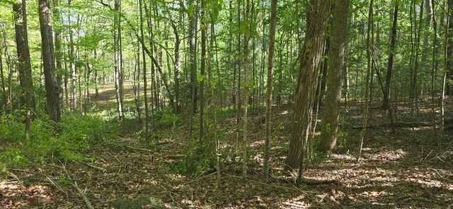 Lot 3-4 Scouts Overlook Lane, Morganton, GA 30560