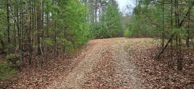 Lot 3-4 Scouts Overlook Lane, Morganton, GA 30560