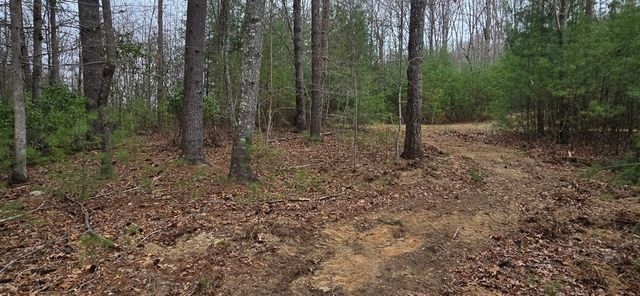 Lot 3-4 Scouts Overlook Lane, Morganton, GA 30560