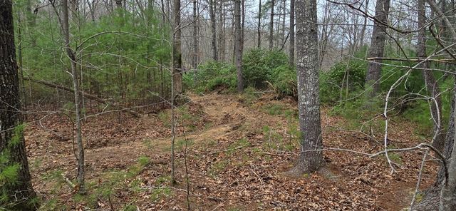 Lot 3-4 Scouts Overlook Lane, Morganton, GA 30560