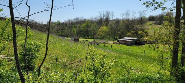 780 SKILLET BRANCH Road, Owingsville, KY 40360