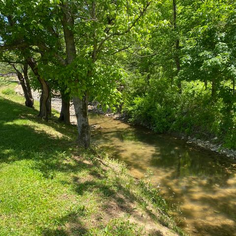 780 SKILLET BRANCH Road, Owingsville, KY 40360