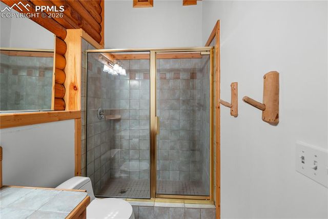 170 Druid Trail, Florissant, CO 80814