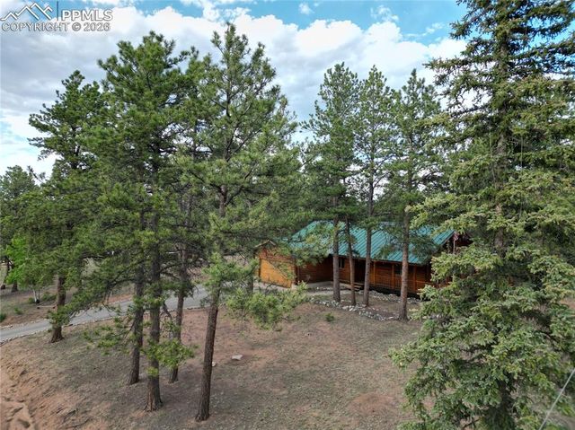 170 Druid Trail, Florissant, CO 80814