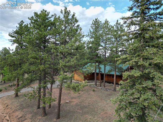 170 Druid Trail, Florissant, CO 80814